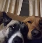 Rhonda Jessee - Facebook