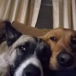 Rhonda Jessee - @rhonda.jessee.5 - Instagram