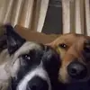 rhondajessee8 - @rhondajessee8 - TikTok