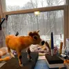 rhondakeene8 - @rhondakeene8 - TikTok
