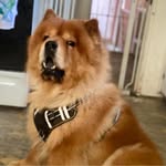 Rhonda Keffer - @rebbul67 - Instagram