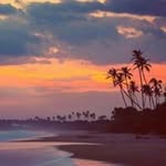 Rhonda Kessler - @kesslerrhonda - Instagram