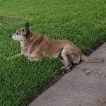 Rhonda Kirkpatrick - @rhonda.kirkpatrick.16 - Instagram