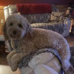 Rhonda Koch - @rkoch2541 - Instagram