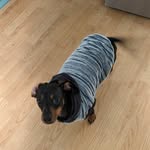 Rhonda Lance - @rclance555 - Instagram