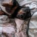 Rhonda Marlor Lance - Facebook