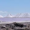 Rhonda Flanders - @rhonda.flanders - TikTok