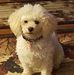 Rhonda Lester - Facebook