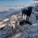 Rhonda Libby Eaton - @rhonda_libby_eaton - Instagram