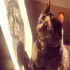 rhondamlibbye - @rhondamlibbye - TikTok