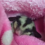 Rhonda Lin - @rhondalin811214 - Instagram