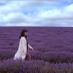 Rhonda Lin - @rhondalin - Instagram