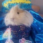 Ronnie Teeples - @rhondalinnet1968 - Instagram