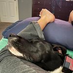 Rhonda Litton - @rrr_honda - Instagram
