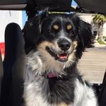 Rhonda Loop Rodriguez - @rhondalrodriguez - Instagram