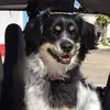 rhondalooprodrigu - @rhondalooprodrigu - TikTok