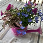 Rhonda Loyd - @rhonda.loyd.7 - Instagram