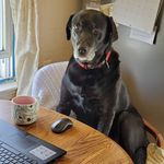 Rhonda Mackey - @mamarhonda1917 - Instagram