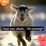 Rhonda Mackey - @rhonda.mackey.52 - Instagram