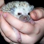 Rhonda Maier - @pma39582 - Instagram
