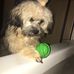 Rhonda Majors - Facebook