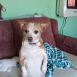 Rhonda Jermia Mansfield - @rhonda.mansfield - Instagram
