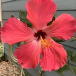 Rhonda Marcus, ND - @drrhondamarcusnd - Instagram