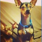 Rhonda Schmitt Marks - @rhonda627 - Instagram