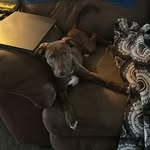 Rhonda L Matlock - @rhondalmatlock - Instagram