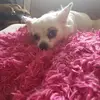 rhondamatlock6 - @rhondamatlock6 - TikTok