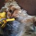 Rhonda Matney - Facebook