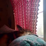Ronda Matney - @ronda_matney - Instagram