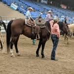 Rhonda Matt - @mattrhonda - Instagram