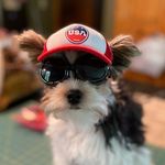 Rhonda McClellan - @rugertheyorky - Instagram