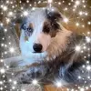 Rhonda Mckellar88 - @rhondamckellar88 - TikTok