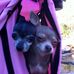 Rhonda McLendon - Facebook