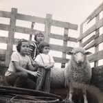 Rhonda Meadows - @millarville_meadows - Instagram