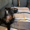 Rhonda Meadows - @rhondameadows17 - TikTok
