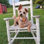 Rhonda Meadows - @lev_3_16 - Instagram
