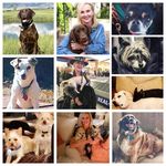 Rhonda Milner - @rhondastravelingdogs - Instagram