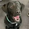 rhondamilner500 - @rhondamilner500 - TikTok
