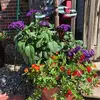 Rhonda Mixon - @rhonda.mixon - TikTok