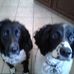Rhonda Moran - Facebook