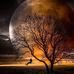 Rhonda Moran - Facebook