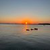 Rhonda Olinger - Facebook