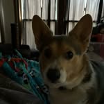 Rhonda ORourke - @rho_nda567 - Instagram