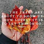 Rhonda Pace - @changeofpacehairstudio - Instagram