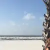 bre - @rhonda.pate.4 - TikTok