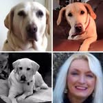 Rhonda Jarvis Pate - @rhondajarvispate - Instagram