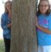 Rhonda Pate - Facebook